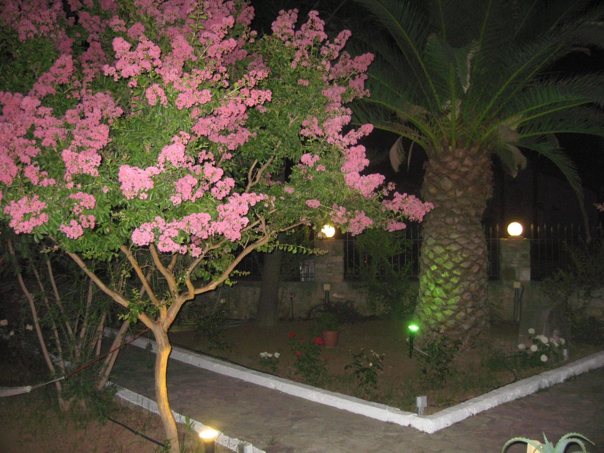 Assimakis Hotel 피니코운타 외부 사진